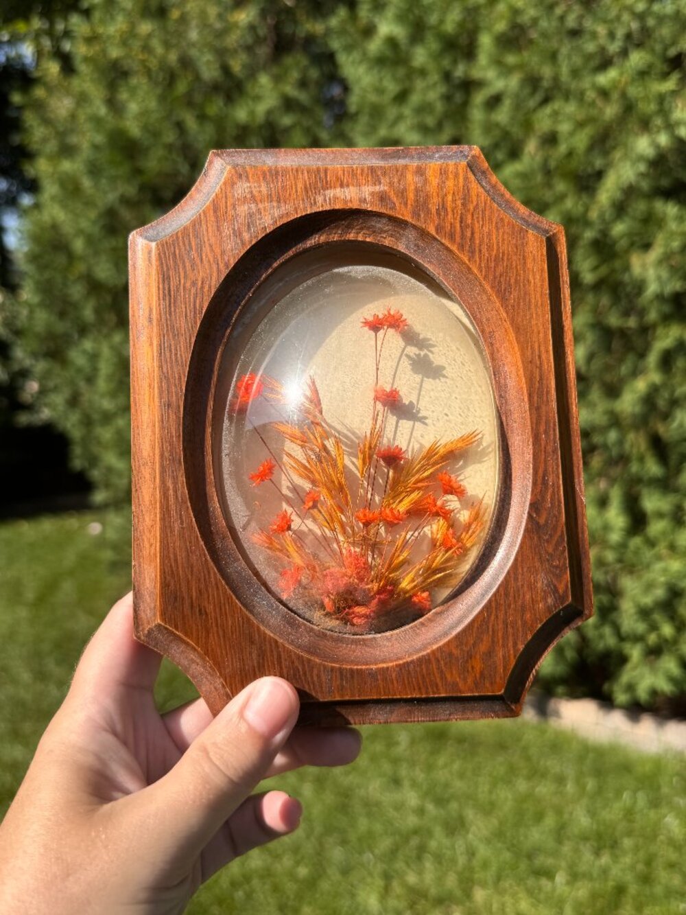 Vintage Convex Pressed Flower Wall Hanging